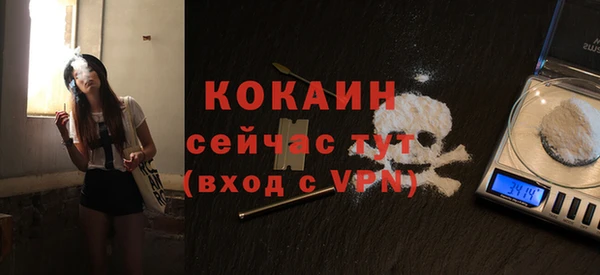 прущие грибы Горно-Алтайск