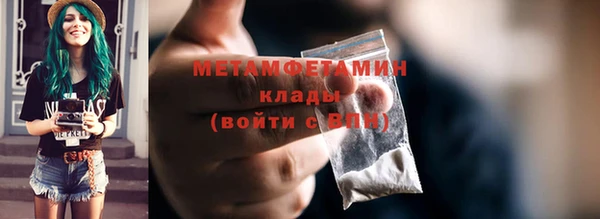 прущие грибы Горно-Алтайск