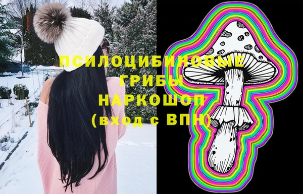 прущие грибы Горно-Алтайск